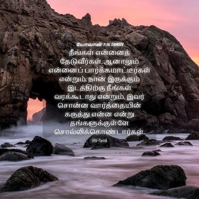 Picture 04 - யோவான் 7:36 TAMIRV - நீங்கள் என்னைத் - Bible Verse Picture