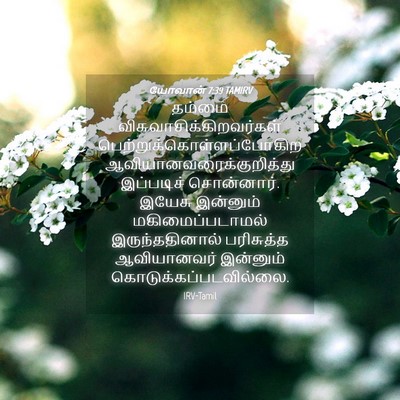 Picture 04 - யோவான் 7:39 TAMIRV - தம்மை - Bible Verse Picture