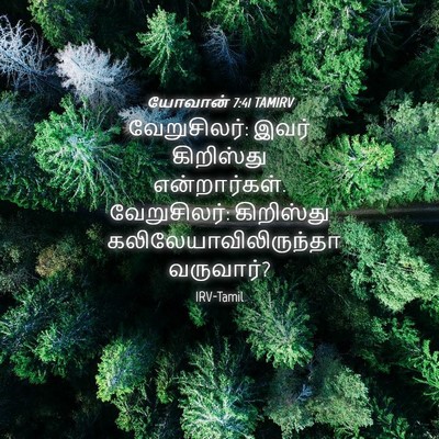 Picture 04 - யோவான் 7:41 TAMIRV - வேறுசிலர்: இவர் - Bible Verse Picture