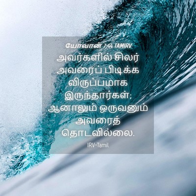 Picture 04 - யோவான் 7:44 TAMIRV - அவர்களில் சிலர் - Bible Verse Picture