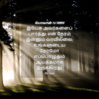 Picture 04 - யோவான் 7:6 TAMIRV - இயேசு அவர்களைப் - Bible Verse Picture