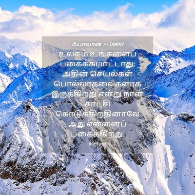 Picture 04 - யோவான் 7:7 TAMIRV - உலகம் உங்களைப் - Bible Verse Picture
