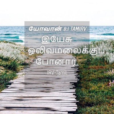 Picture 04 - யோவான் 8:1 TAMIRV - இயேசு - Bible Verse Picture
