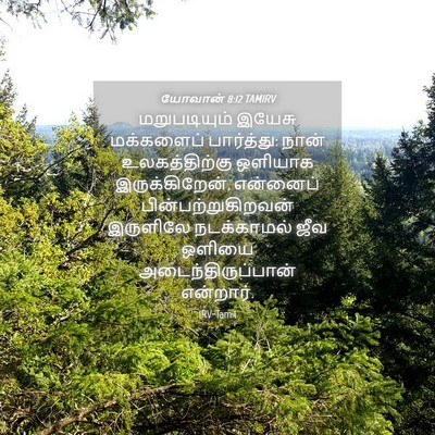 Picture 04 - யோவான் 8:12 TAMIRV - மறுபடியும் இயேசு - Bible Verse Picture