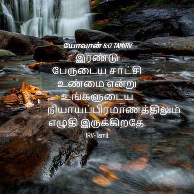 Picture 04 - யோவான் 8:17 TAMIRV - இரண்டு பேருடைய - Bible Verse Picture
