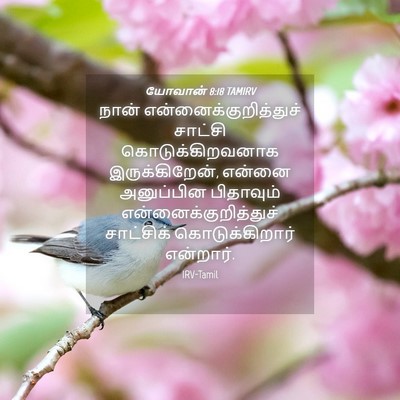 Picture 04 - யோவான் 8:18 TAMIRV - நான் - Bible Verse Picture