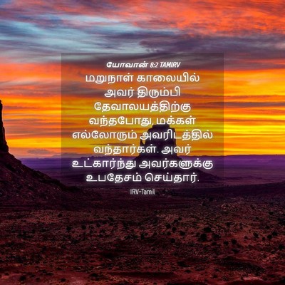 Picture 04 - யோவான் 8:2 TAMIRV - மறுநாள் காலையில் - Bible Verse Picture