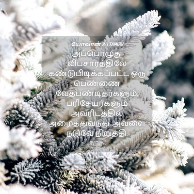 Picture 04 - யோவான் 8:3 TAMIRV - அப்பொழுது - Bible Verse Picture