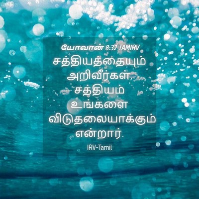 Picture 04 - யோவான் 8:32 TAMIRV - சத்தியத்தையும் - Bible Verse Picture