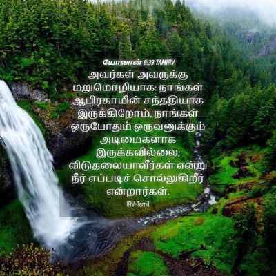 Picture 04 - யோவான் 8:33 TAMIRV - அவர்கள் அவருக்கு - Bible Verse Picture