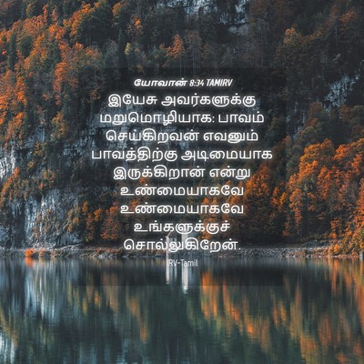Picture 04 - யோவான் 8:34 TAMIRV - இயேசு அவர்களுக்கு - Bible Verse Picture