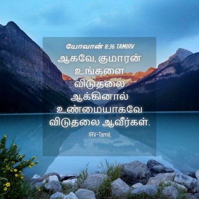 Picture 04 - யோவான் 8:36 TAMIRV - ஆகவே, குமாரன் - Bible Verse Picture