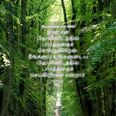 Picture 04 - யோவான் 8:38 TAMIRV - நான் என் - Bible Verse Picture