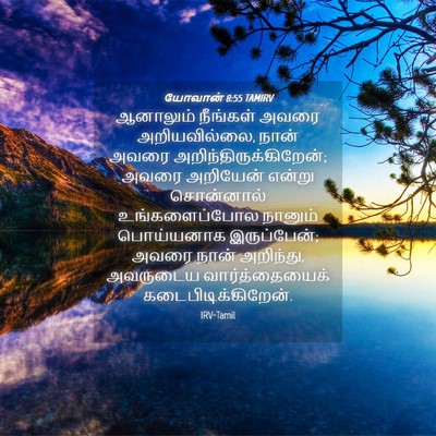 Picture 04 - யோவான் 8:55 TAMIRV - ஆனாலும் நீங்கள் - Bible Verse Picture