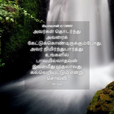 Picture 04 - யோவான் 8:7 TAMIRV - அவர்கள் தொடர்ந்து - Bible Verse Picture