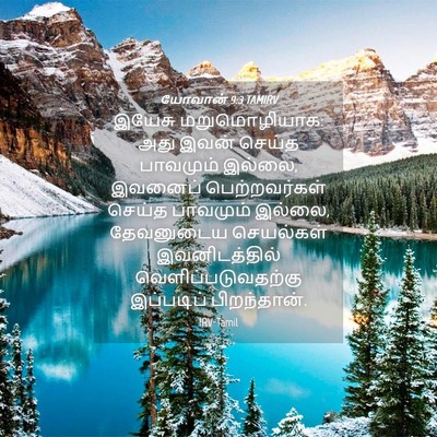 Picture 04 - யோவான் 9:3 TAMIRV - இயேசு மறுமொழியாக: - Bible Verse Picture