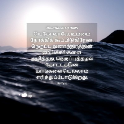 Picture 04 - யோவேல் 1:19 TAMIRV - யெகோவாவே, உம்மை - Bible Verse Picture