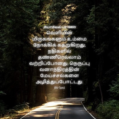 Picture 04 - யோவேல் 1:20 TAMIRV - வெளியின் - Bible Verse Picture