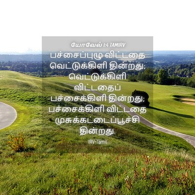 Picture 04 - யோவேல் 1:4 TAMIRV - பச்சைப்புழு - Bible Verse Picture