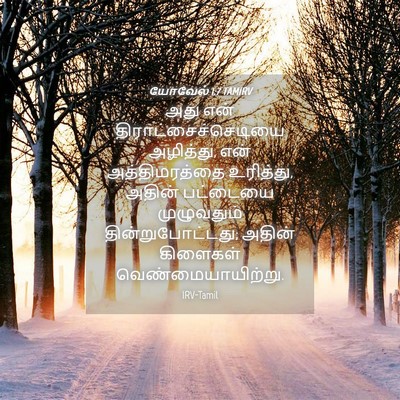 Picture 04 - யோவேல் 1:7 TAMIRV - அது என் - Bible Verse Picture