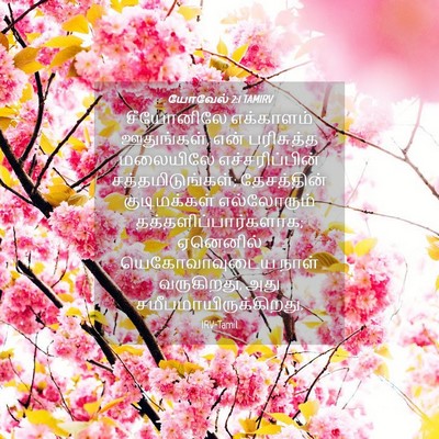 Picture 04 - யோவேல் 2:1 TAMIRV - சீயோனிலே எக்காளம் - Bible Verse Picture