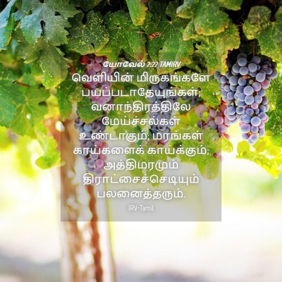 Picture 04 - யோவேல் 2:22 TAMIRV - வெளியின் - Bible Verse Picture