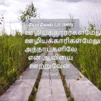 Picture 04 - யோவேல் 2:29 TAMIRV -  - Bible Verse Picture