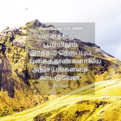 Picture 04 - யோவேல் 2:30 TAMIRV - வானத்திலும் - Bible Verse Picture