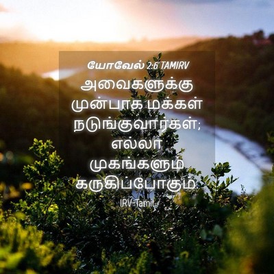 Picture 04 - யோவேல் 2:6 TAMIRV - அவைகளுக்கு - Bible Verse Picture