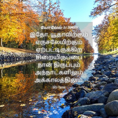 Picture 04 - யோவேல் 3:1 TAMIRV - இதோ, யூதாவிற்கும் - Bible Verse Picture