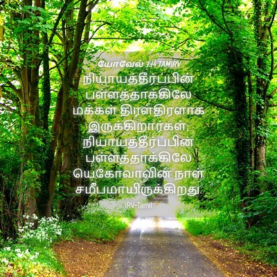 Picture 04 - யோவேல் 3:14 TAMIRV -  - Bible Verse Picture