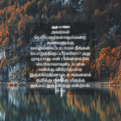 Picture 04 - ரூத் 1:13 TAMIRV - அவர்கள் - Bible Verse Picture