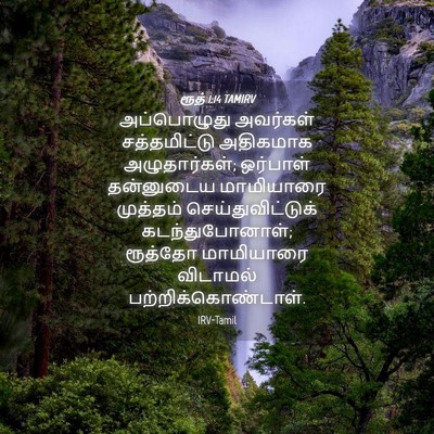 Picture 04 - ரூத் 1:14 TAMIRV - அப்பொழுது அவர்கள் - Bible Verse Picture