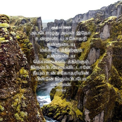 Picture 04 - ரூத் 1:15 TAMIRV - அப்பொழுது அவள்: - Bible Verse Picture