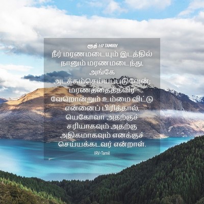 Picture 04 - ரூத் 1:17 TAMIRV - நீர் மரணமடையும் - Bible Verse Picture