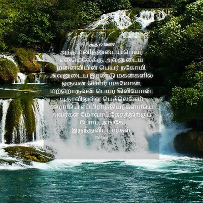 Picture 04 - ரூத் 1:2 TAMIRV - அந்த மனிதனுடைய - Bible Verse Picture