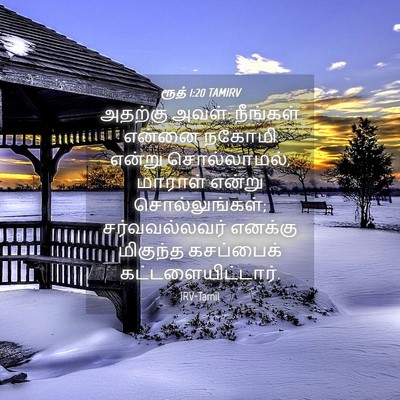 Picture 04 - ரூத் 1:20 TAMIRV - அதற்கு அவள்: - Bible Verse Picture