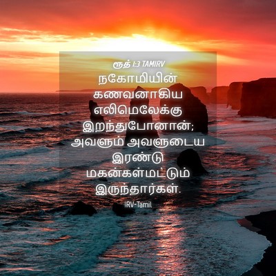 Picture 04 - ரூத் 1:3 TAMIRV - நகோமியின் - Bible Verse Picture