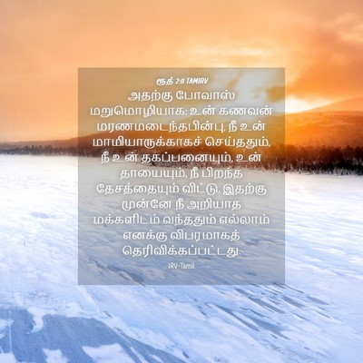 Picture 04 - ரூத் 2:11 TAMIRV - அதற்கு போவாஸ் - Bible Verse Picture