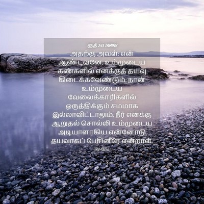 Picture 04 - ரூத் 2:13 TAMIRV - அதற்கு அவள்: என் - Bible Verse Picture