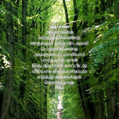Picture 04 - ரூத் 2:18 TAMIRV - அவள் அதை - Bible Verse Picture