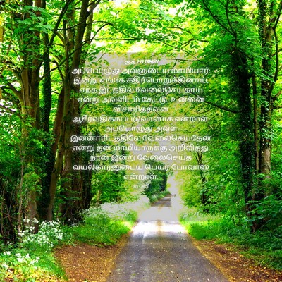 Picture 04 - ரூத் 2:19 TAMIRV - அப்பொழுது அவளுடைய - Bible Verse Picture