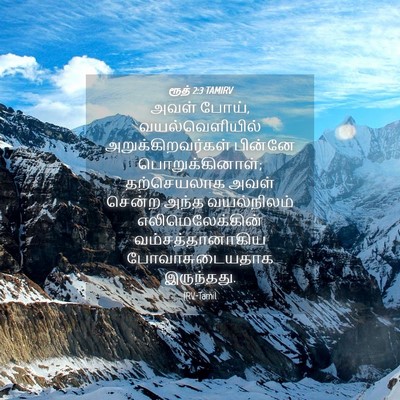 Picture 04 - ரூத் 2:3 TAMIRV - அவள் போய், - Bible Verse Picture