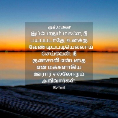 Picture 04 - ரூத் 3:11 TAMIRV - இப்போதும் மகளே, நீ - Bible Verse Picture