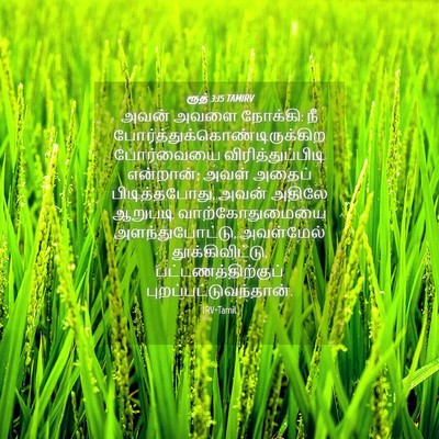 Picture 04 - ரூத் 3:15 TAMIRV - அவன் அவளை நோக்கி: - Bible Verse Picture