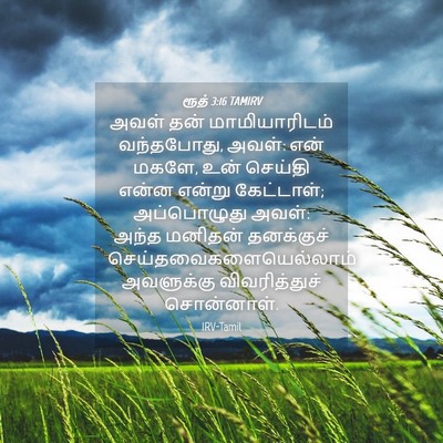 Picture 04 - ரூத் 3:16 TAMIRV - அவள் தன் - Bible Verse Picture