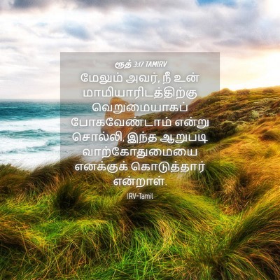 Picture 04 - ரூத் 3:17 TAMIRV - மேலும் அவர், நீ உன் - Bible Verse Picture