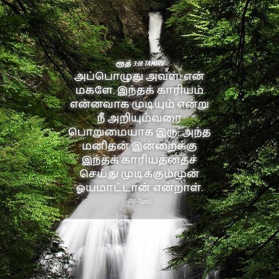 Picture 04 - ரூத் 3:18 TAMIRV - அப்பொழுது அவள்: - Bible Verse Picture