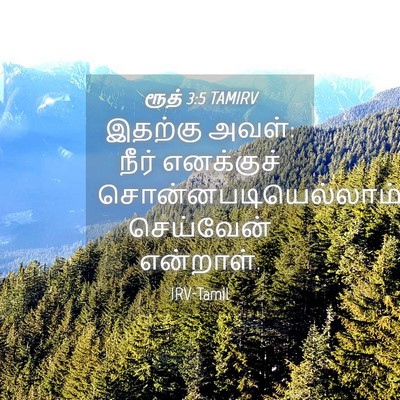 Picture 04 - ரூத் 3:5 TAMIRV - இதற்கு அவள்: நீர் - Bible Verse Picture