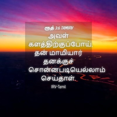 Picture 04 - ரூத் 3:6 TAMIRV - அவள் - Bible Verse Picture